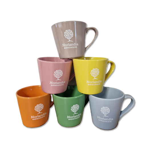 Norlandia krus 6PK